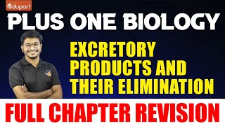 Plus One Biology  Excretory Products and their Elimination  Eduport Plus One [upl. by Brenza]