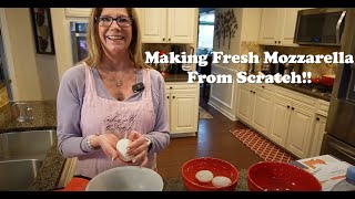 Making Fresh Mozzarella From Scratch [upl. by Weil456]