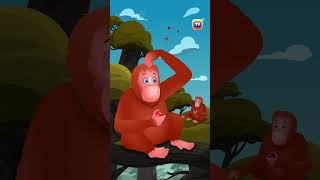 Asian Elephant Song Orangutan Bonobo Shorts ChuChuTV KidsSongs animalshorts endangeredanimals [upl. by Elleirb]