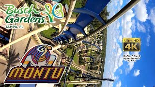 2019 Montu Roller Coaster Front and Back Seat 4K UltraHD On Ride POV Busch Gardens Tampa HyperSmooth [upl. by Bowerman]