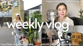 weekly vlog 🏠  haul ikea amp kringloop  nowe roślinki  organizacja balkonu 🪴🌱 [upl. by Anayaran]