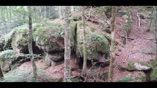 RANDONNEE AVEC LA TOUTOUNE DESCENTE VERS LA RIVIERE ET PAUSE CASSE CROUTE [upl. by Adnohsad]