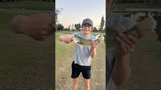 There are biggins in Bakersfieldbassfishing fishing shorts bakersfield carp [upl. by Babara]