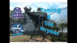 Ark Official PVE Taming a Tek Stryder [upl. by Nedry855]