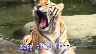 恋して ZOO Karaoke [upl. by Yewed]