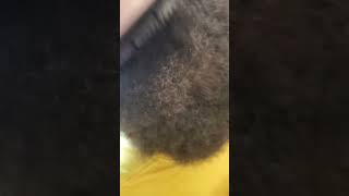 Blow Drying Hair Using Tyche Side Comb  Husbands Natural Hair  ASMR No Talk [upl. by Photima]