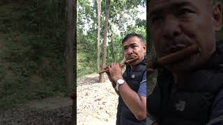 Lekali ho choya ko doko bijaytheenglamaflute bijaytheenglamabasuri bambooflutemusic bijay [upl. by Gusba164]