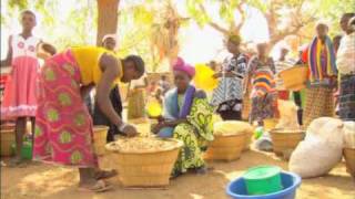 Vu du Ciel  S01E02  1016  Les Dogons cultivateurs du désert  Mali [upl. by Turro]