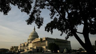 Senate votes against Trumps budget cutback bill [upl. by Melli487]