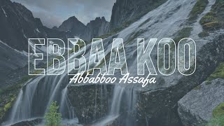 Abbabboo Assafa Ebbaa Koo [upl. by Larrad110]