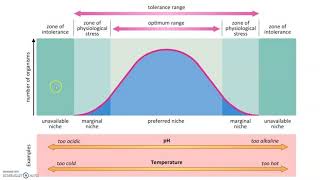 24 Ecological Tolerance [upl. by Anola]