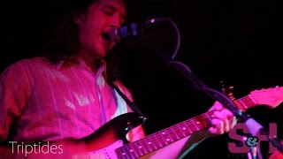 Triptides  Wake LIVE at The Continental Room [upl. by Goles]