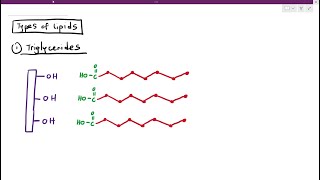 215 Lipids [upl. by Docila]