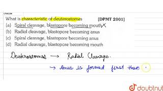 What is characteristic of deuterostomes [upl. by Blackman]