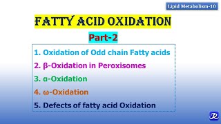 10 Fatty acid oxidation part 2  Lipid Metabolism10  Biochemistry  NJOY Biochemistry [upl. by Zorina233]