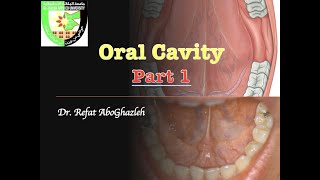 Oral Cavity  Part 1 [upl. by Isia]