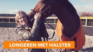 Longeren met halster  PaardenpraatTV [upl. by Gunner]