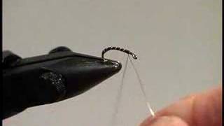 Learn Fly Tying Lesson 1 for Beginners The Buzzer with David Cammiss [upl. by Panthia]