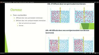 Klas 4 VWO Thema 1 Inleiding in de biologie basisstof 5 Transport door membranen deel 2 [upl. by Okikuy502]