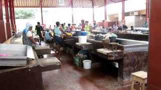 Mindelo fish market [upl. by Seavey]