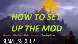 StepByStep setup for quotElden Ringquot SEAMLESS COOP Mod [upl. by Islaen676]