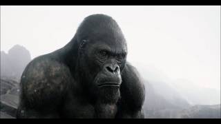 Gorilla Sound Effects HD [upl. by Flatto]