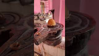 288 Shivling In One Temple Shiv Kutchery Shivkuti Prayagraj  शिव कचहरी ghumakkadprayagi sawan [upl. by Leziar]