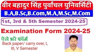 VBSPU EXAM FORM 202425  PURVANCHAL UNIVERSITY EXAMINATION FORM 202425 [upl. by Galatea]