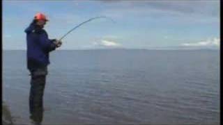 Alaska Sockeye Salmon Fishing [upl. by Nawed]