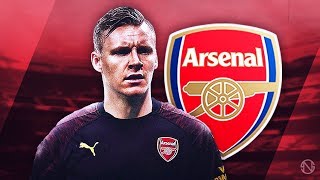 BERND LENO  Welcome to Arsenal  Crazy Saves amp Reflexes  2018 HD [upl. by Ennaimaj]