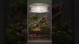 Making a closed terrarium [upl. by Ynos271]