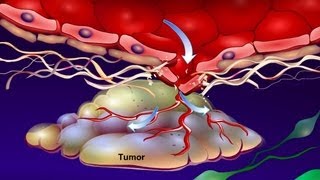 Introduction to Cancer Biology Part 4 Angiogenesis [upl. by Akinwahs748]