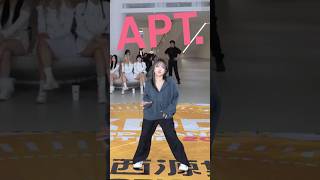 Kpop in public ROSÉ amp Bruno Mars  APT [upl. by Orelu255]