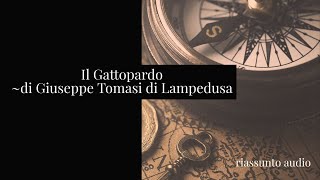 Il Gattopardo di Giuseppe Tomasi di Lampedusa riassunto [upl. by Novyat552]