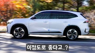 뒤도 안 돌아보고 산 4천만원대 SUV [upl. by Aciria743]