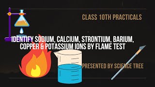 Identify sodium calcium strontium barium copper and potassium ions by flame test  Science Tree [upl. by Afra]