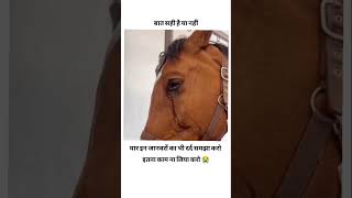 Ye bhi jiv hai itna to mat satao saveanimals dard bedlife verified disclaimer struggle short [upl. by Thinia]