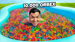 LLENE mi PISCINA con 10000 ORBEX en el PATIO DE MI CASA  Alfredo Larin [upl. by Otreblaug897]