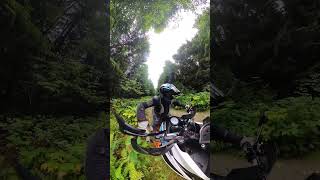 Just Calm Down  offroad ktm adventure [upl. by Aem]