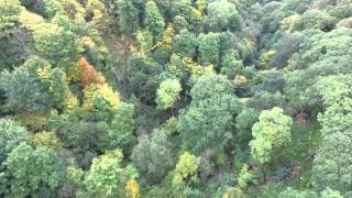 Binning Wood and Cockburns Path Scotland  Phantom 3 Advanced Drone [upl. by Nunci328]