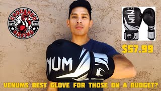 Venum Challenger 30 Boxing Gloves REVIEW DOES VENUMS ENTRY LEVEL GLOVE GET THE JOB DONE [upl. by Hallee]