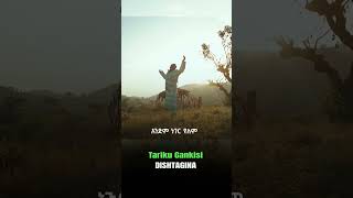 Tariku Gankisi  Dishta Gina  ታሪኩ ጋንካሲ  ዲሽታግና  New Ethiopian Music 2023 [upl. by Ahras128]