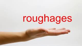 How to Pronounce roughages  American English [upl. by Lindsy]