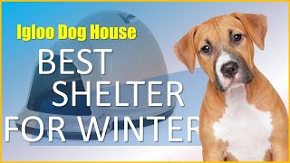 Igloo Dog House Video Review  Petmate Indigo Igloo Dog House [upl. by Brawley414]