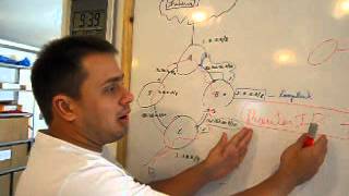 Interface Loopback dever ser 32 no OSPF [upl. by Romanas]