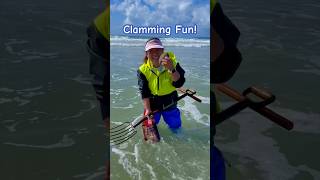 A Fun Day of Clamming  Pismo Clams [upl. by Hanschen]