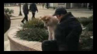 HachikoA Dogs Story2010Dvdrip8mp4 [upl. by Alius]