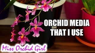 The different media I use with my Orchids  Which Orchids refuse LECA [upl. by Ahsirak]