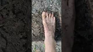 Man puts foot over ant hill [upl. by Oizirbaf]