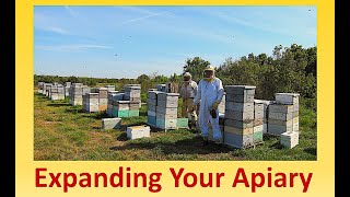 Expanding Your Apiary Part 2 Q amp A [upl. by Eltsyrk860]